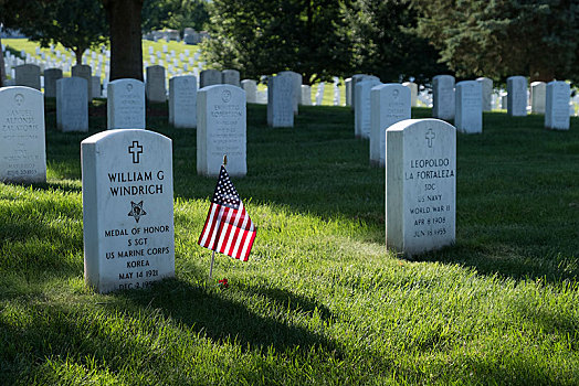 战争,墓地,墓石,美国国旗,阿灵顿国家公墓,华盛顿特区