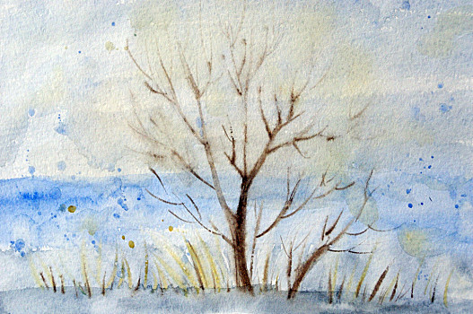 树,冬季风景,孤单