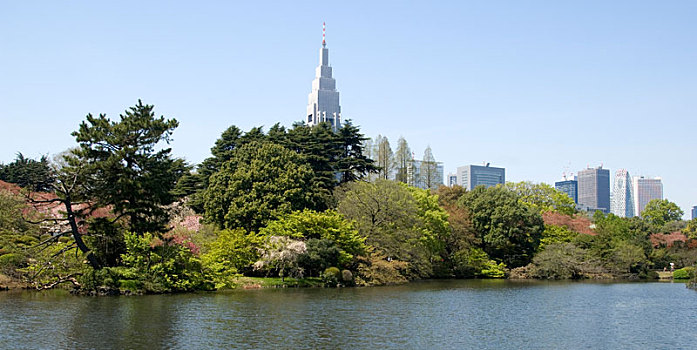 摩天大楼,新宿,东京,日本,新宿御园,公园