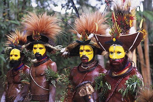 新几内亚,高地,靠近,舞者,仪式,假发,鹤望兰,羽毛