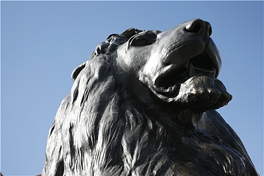 狮子,雕塑,特拉法尔加广场