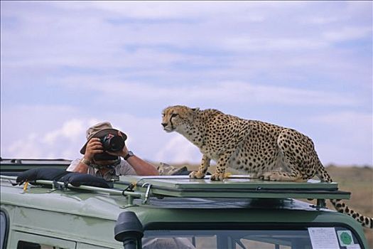 男人,摄影,印度豹,交通工具,非洲
