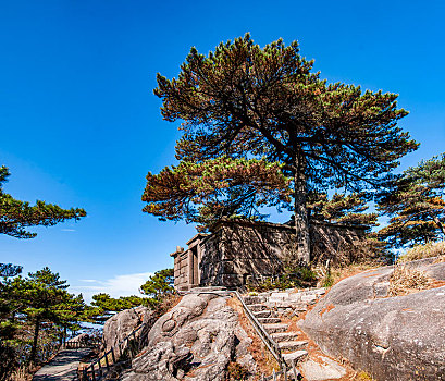 江西上饶三清山龙虎殿