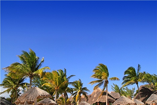 马雅里维拉,热带,天窗,棕榈树,蓝天