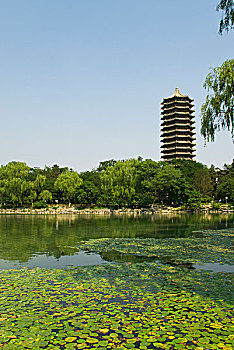 北京大学未名湖畔的博雅塔