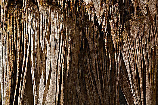 特写,帘,输入,钟乳石,卡尔斯巴德洞穴国家公园,世界遗产,卡尔斯巴德,新墨西哥