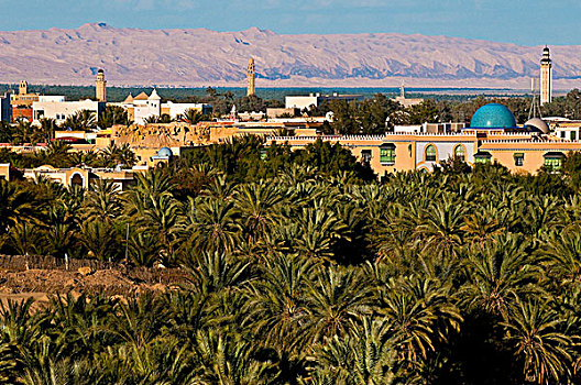 北非,突尼斯,托泽尔,省,全景,视点,景色,绿洲