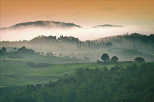 晨雾,俯视,风景,托斯卡纳,意大利