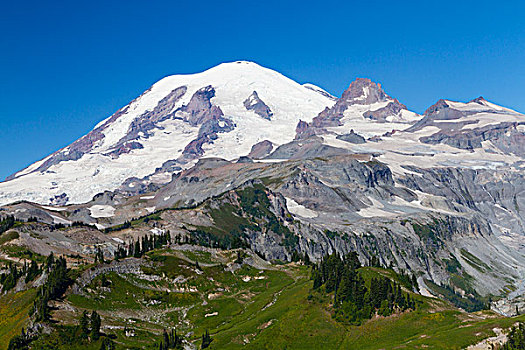 美国,华盛顿,雷尼尔山国家公园,雷尼尔山,小,分开