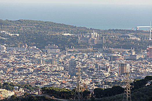 俯视,巴塞罗那,加泰罗尼亚,西班牙