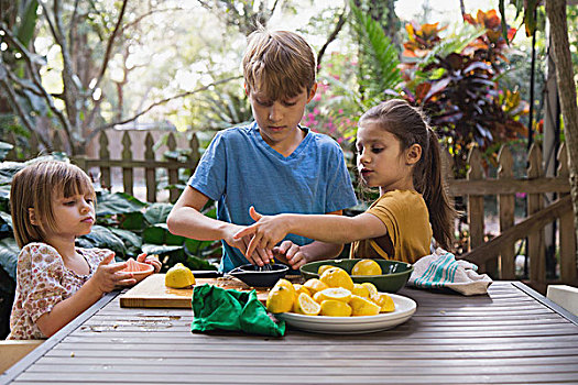 男孩,两个,孩子,姐妹,准备,柠檬汁,柠檬水,花园桌