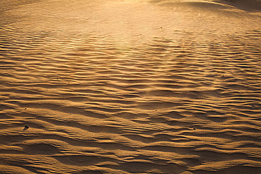 风景,沙漠,沙子,全画幅