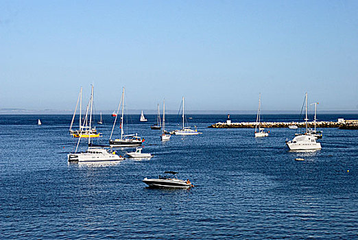 游艇,港口,卡斯卡伊斯,靠近,里斯本,葡萄牙,欧洲