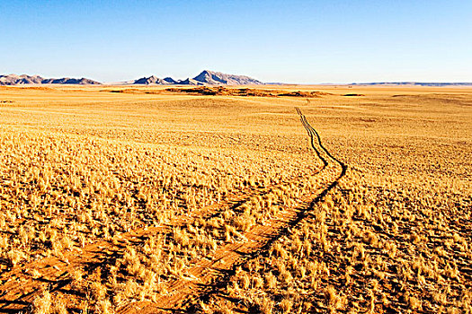 小路,浩大,纳米比沙漠,纳米比亚,非洲