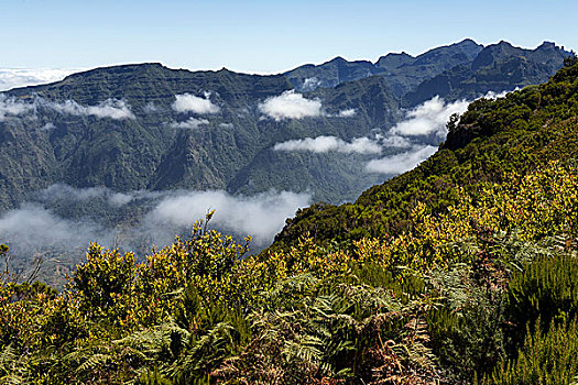 风景,山,公园,自然,马德拉岛,葡萄牙,欧洲