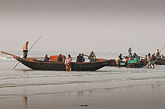 印度,西孟加拉,捕鱼