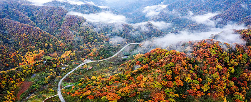 陕西秦岭秋色