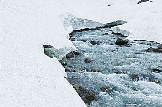 河流,靠近,冰河,查谟-克什米尔邦,印度