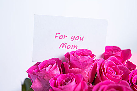 花束,粉色,玫瑰,母亲节,信息,白色背景,背景
