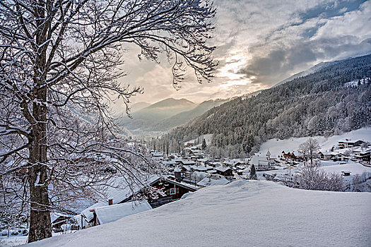 乡村,拉姆绍,靠近,冬天,贝希特斯加登地区,地区,上巴伐利亚,巴伐利亚,德国