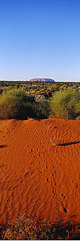 沙丘,艾尔斯巨石,北领地州,澳大利亚