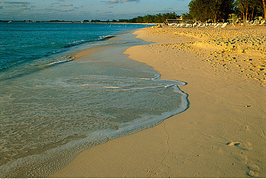 海滩,大开曼岛,开曼群岛