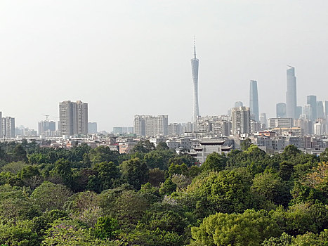 广东广州,航拍海珠湿地公园