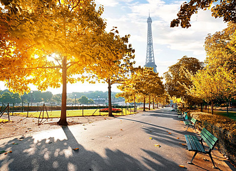 晴朗,早晨,巴黎,秋天