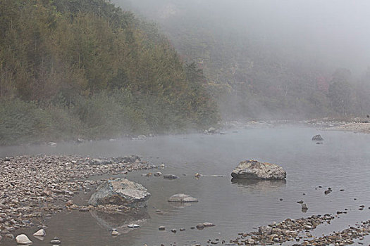 湖,水面,雾气,蒸腾,白雾,水蒸气,缥缈,仙境,灵性,家禽,鸭子,鹅,游动,自在,安静,自然,风光