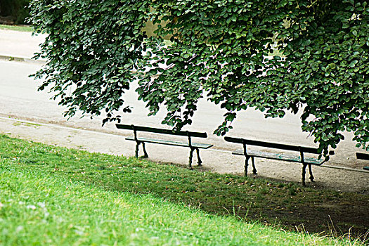 法国,巴黎,公园长椅,荫凉,树