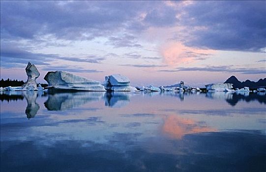 冰山,漂浮,泻湖,奇奈峡湾国家公园,肯奈半岛,阿拉斯加,夏天