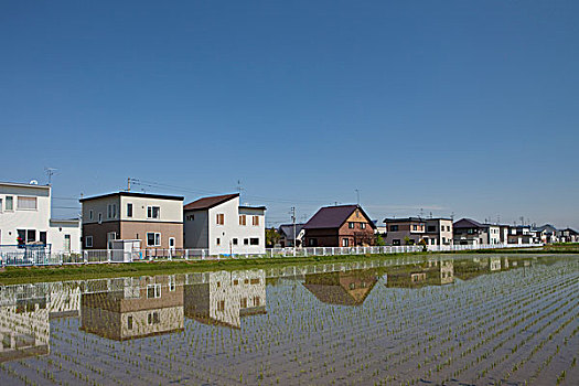 稻田,住宅区