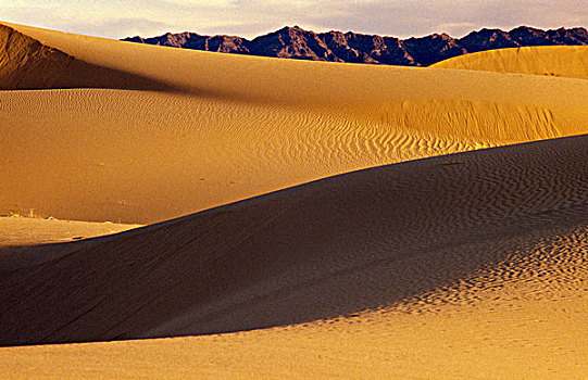 沙丘,沙漠,加利福尼亚,美国