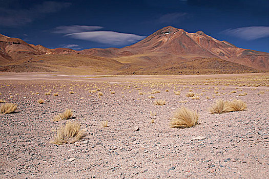 火山,阿塔卡马沙漠,智利