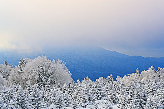 吉林省仙峰国家森林公园雪景