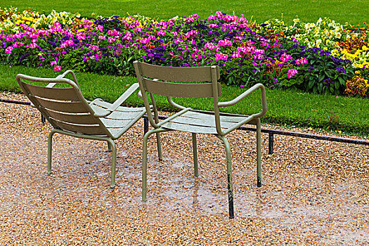 湿,金属,扶手椅,下雨,公园,彩色,花,巴黎