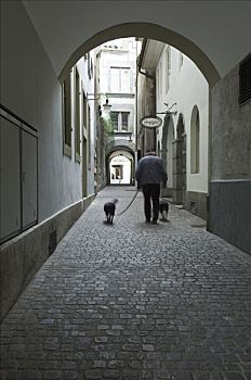男人,走,狗,小路,伯尔尼老城,瑞士