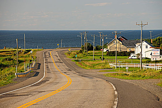 道路,河,靠近,加斯佩半岛,魁北克,加拿大