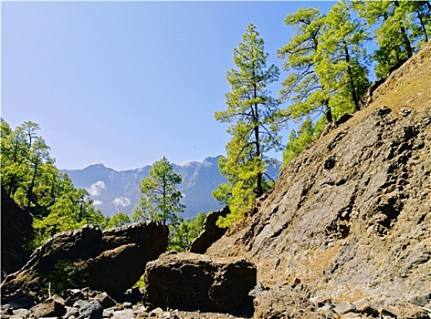 火山口,国家公园,帕尔玛