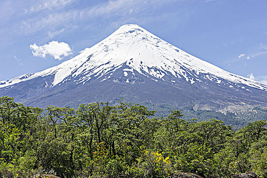 火山,蔷薇目,波多黎各,拉各斯,区域,智利,南美