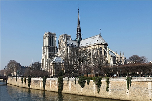 圣母大教堂,中心,巴黎,法国,晴天