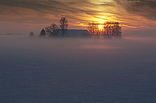 农场,日落,冬天