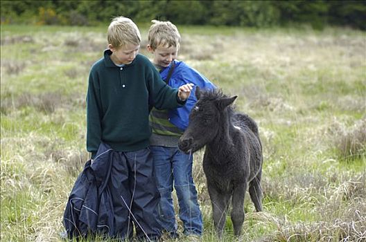 孩子,达特姆尔高原,小马,国家公园,德文郡,英格兰