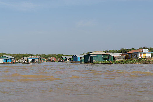 树液,风景