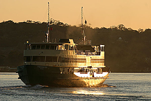 乘客,渡轮,黎明,悉尼港,澳大利亚