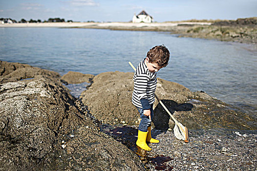 3岁,男孩,钓鱼,网,石头,靠近,海滩