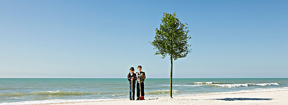 孩子,站立,铲,旁侧,树,海滩