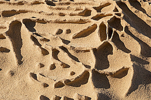 砂岩,展示,证据,腐蚀,海岬,小湾,罗伯士角州立保护区,加利福尼亚,美国