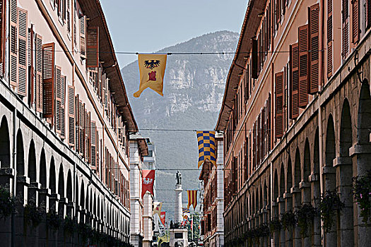 传统,街道,旗帜,隆河阿尔卑斯山省,法国