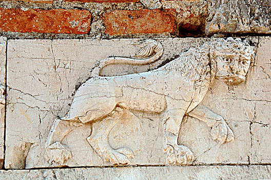 阿尔巴尼亚,世纪,浮雕,狮子